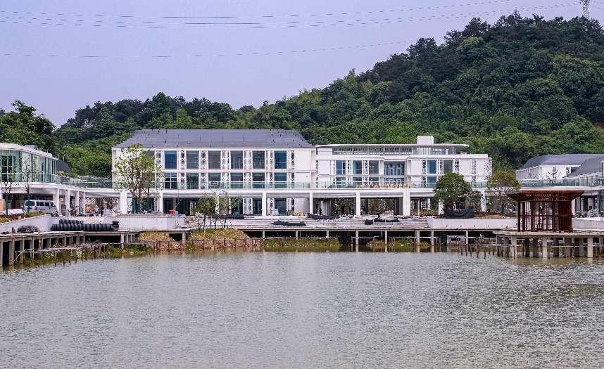 是回家，也是一次爱的迁徙